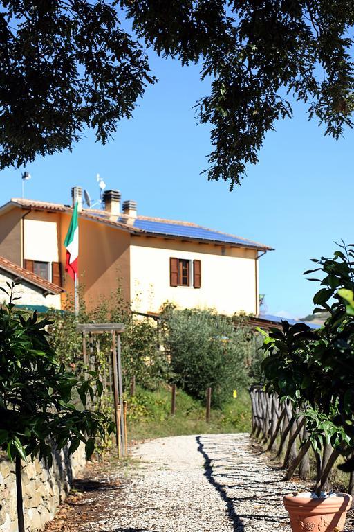 Agriturismo La Coccinella Valfabbrica Buitenkant foto