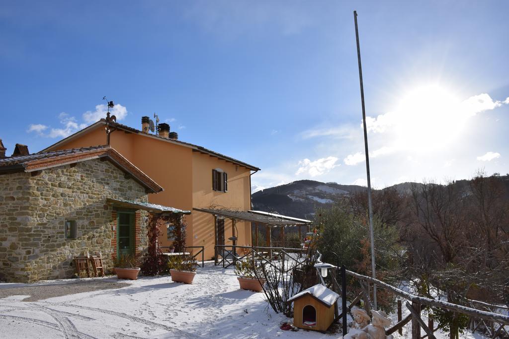 Agriturismo La Coccinella Valfabbrica Buitenkant foto